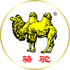 骆驼牌（camel）